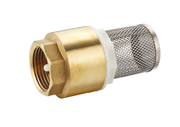 brass-check-valve1.jpg